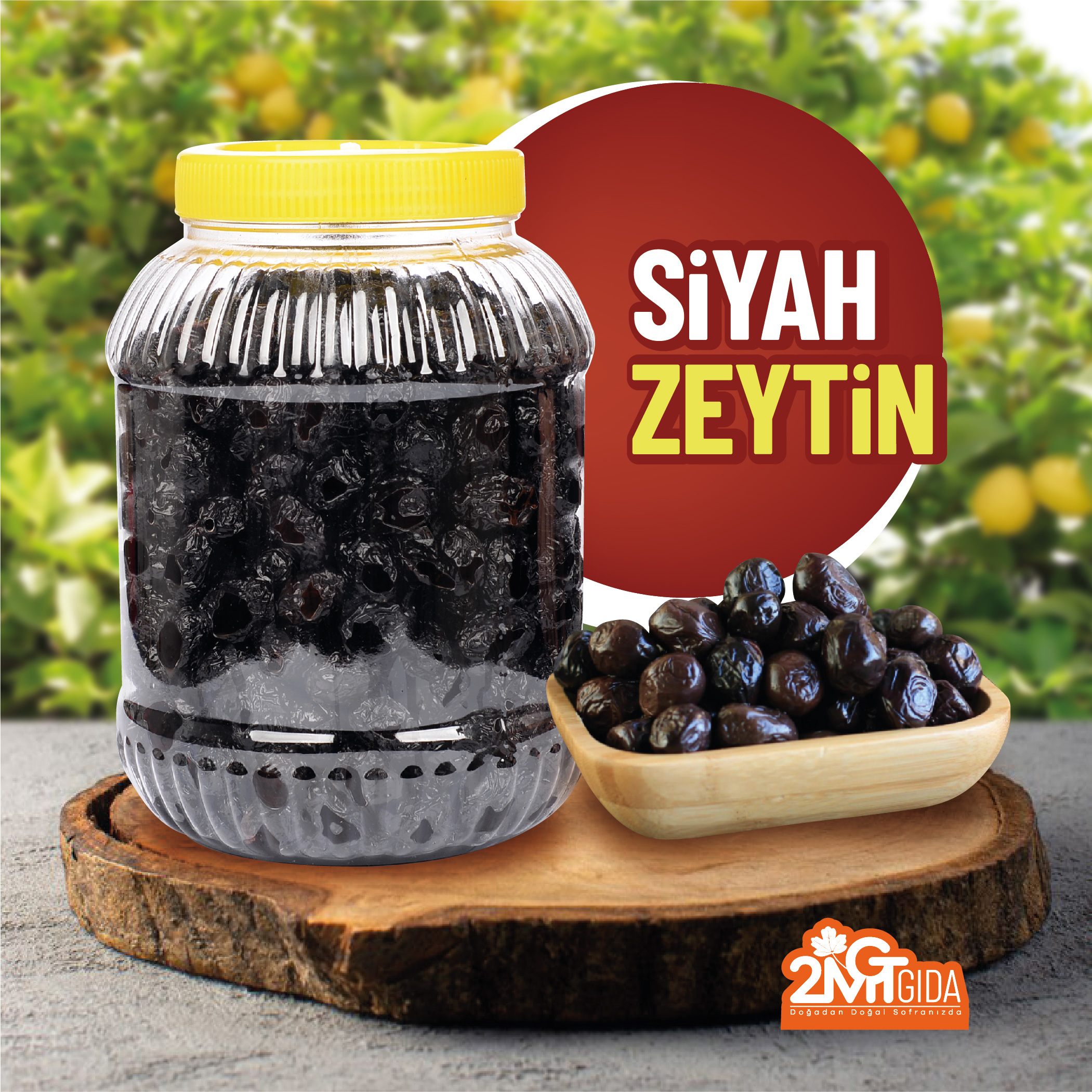 Gemlik Siyah Sele Zeytin